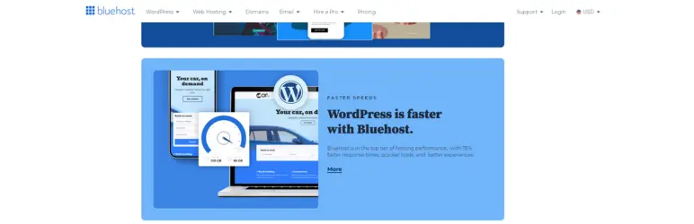 bluehost banner